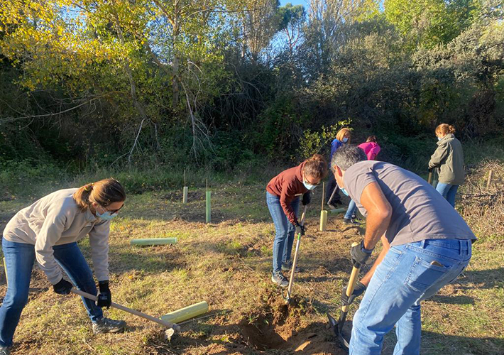 foto noticia Más del 70% de las empresas y entidades sociales mantienen o aumentan su presupuesto para voluntariado corporativo en 2022.